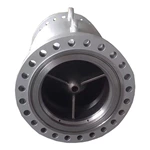 Axial check valve