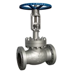 extended bonnet globe valve