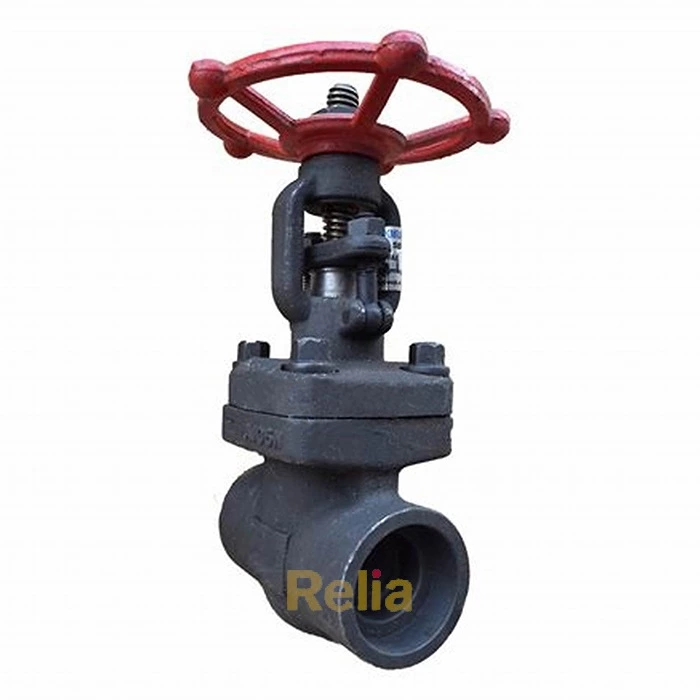 forged gate valve class 800, socket weld