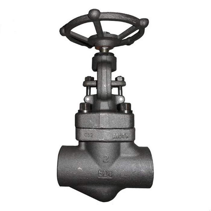 forged steel globe valve class 800