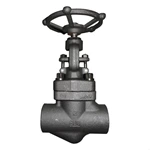 forged steel globe valve class 800