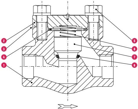 forged steel piston check valve