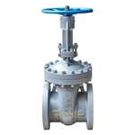 Class 300 Gate Valve