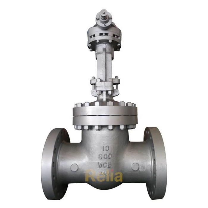 Class 900 Gate Valve