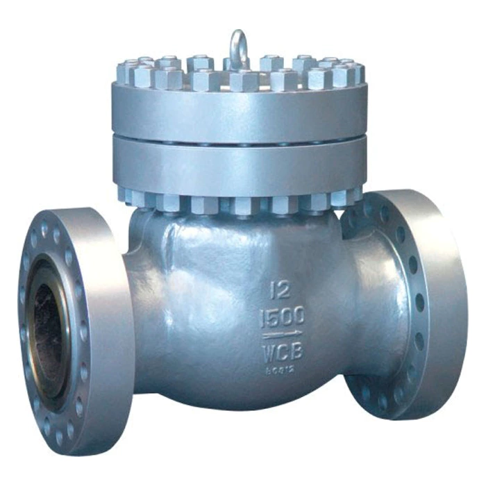 12 inch check valve price