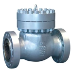 12 inch check valve price