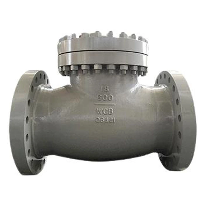 18 Inch Check Valve