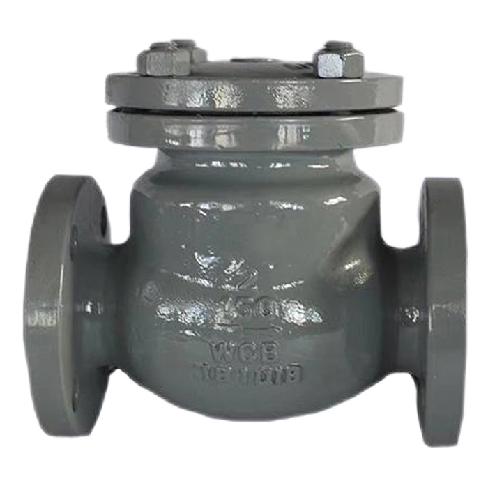 2 Inch Check Valve