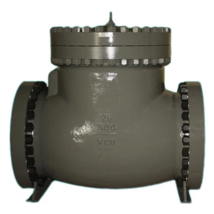 26 Inch Check Valve