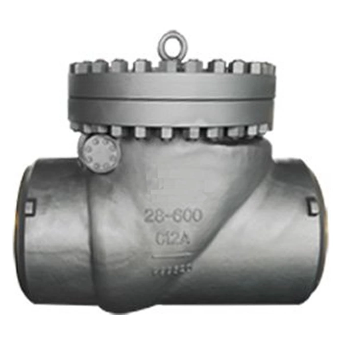 28 Inch Check Valve