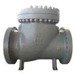 30 Inch Check Valve