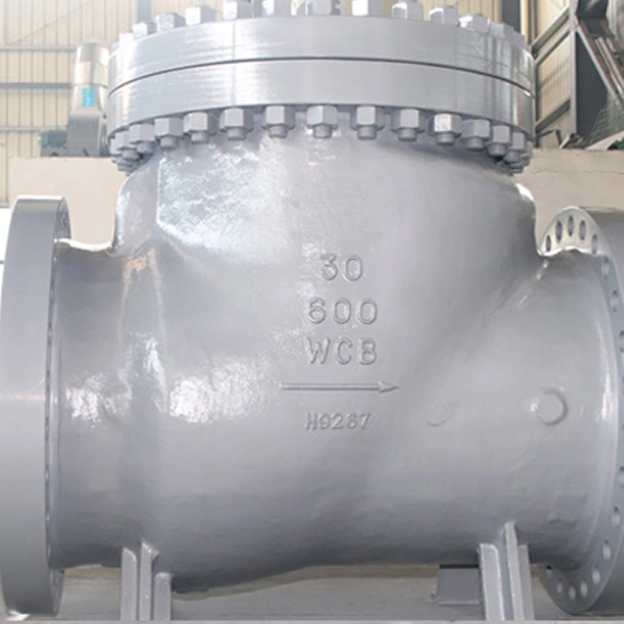 30 Inch Check Valve