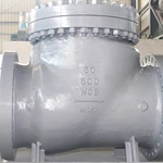 30 Inch Check Valve