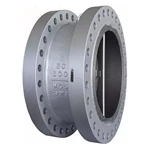 30 Inch Check Valve