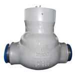 6 inch check valve price
