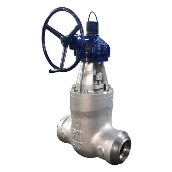 Class 2500 Gate Valve