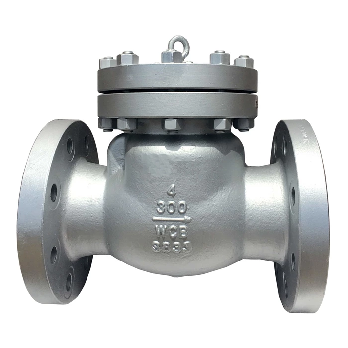 DN100 chek valve