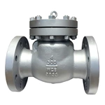 DN100 chek valve