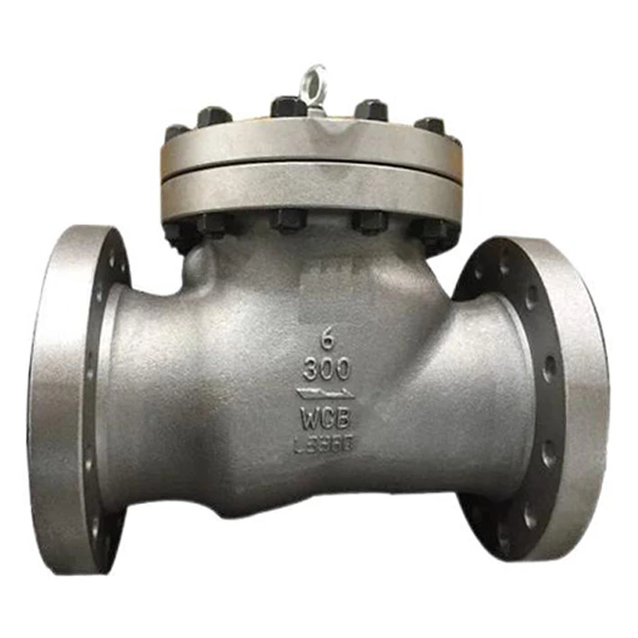 dn150 check valve
