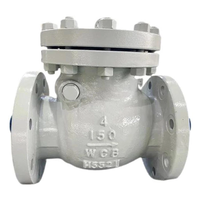 flanged check valve 4 inch