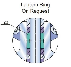 globe valve with lantern ring