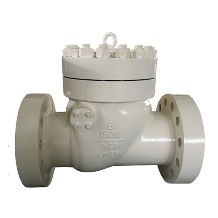 8 Inch Check Valve